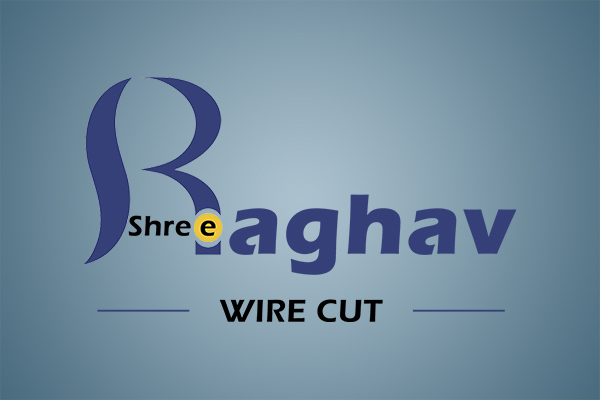 Shree Raghav Wire Cut